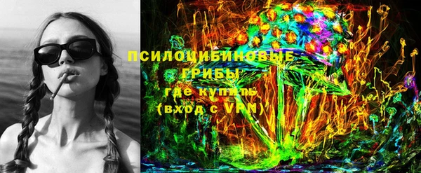 ГАЛЛЮЦИНОГЕННЫЕ ГРИБЫ Алексин