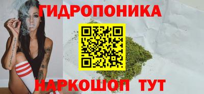 индика Малоярославец