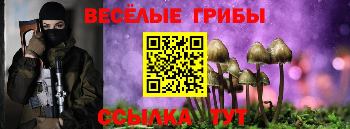 Галлюциногенные грибы MAGIC MUSHROOMS  Вход с VPN  Старый Оскол 